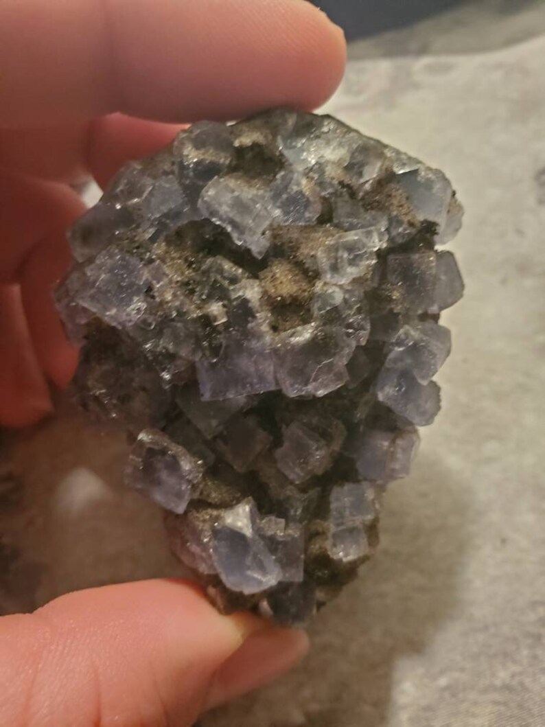 May include: A cluster of blue-purple fluorite crystals with a cubic structure. The crystals are partially embedded in a dark matrix, creating a contrast of colors and textures. The mineral specimen is held in a hand.