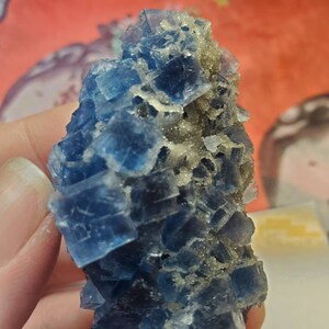 May include: A cluster of blue fluorite crystals with a cubic structure. The crystals have a translucent quality and are a deep shade of blue. Some areas have a dusting of small, light-colored crystals.