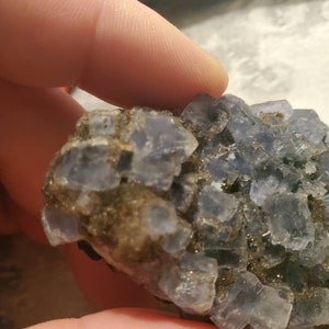 May include: A close-up of a cluster of blue-grey fluorite crystals. The crystals have a cubic structure and are partially embedded in a matrix of brown and grey minerals. The image is well-lit, highlighting the crystalline structure.