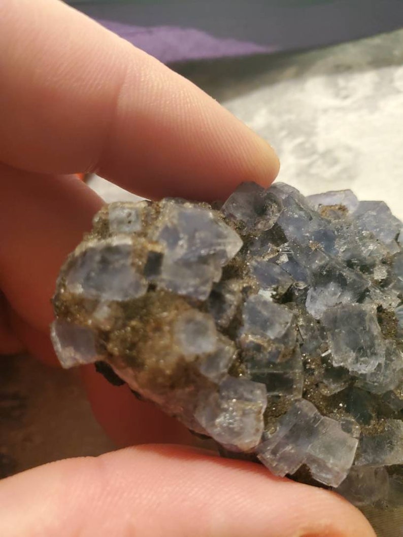 May include: A close-up of a cluster of blue-grey fluorite crystals. The crystals have a cubic structure and are partially embedded in a matrix of brown and grey minerals. The image is well-lit, highlighting the crystalline structure.