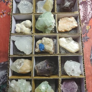 May include: A collection of various colorful crystals and minerals displayed in a cardboard organizer with individual compartments. The crystals exhibit a range of colors, including clear, green, purple, and brown. The arrangement showcases the natural beauty and diversity of the mineral specimens.