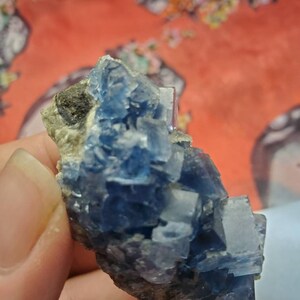 May include: A close-up of a blue fluorite crystal cluster. The crystal has a cubic structure with a translucent appearance. The base of the crystal is a dark gray color. The background is a blurred red and floral pattern.