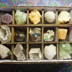 May include: A cardboard box divided into compartments, each holding a different mineral specimen. The minerals vary in color, including purple, green, yellow, and white. The specimens have various shapes and textures, showcasing a collection of natural gemstones.