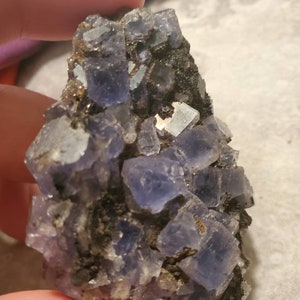 May include: A close-up of a cluster of purple fluorite crystals. The crystals are cubic in shape and have a translucent quality. The fluorite is set against a dark matrix, with some smaller, lighter-colored crystals interspersed.