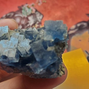 May include: A close-up of a blue fluorite mineral specimen. The fluorite crystals are a vibrant blue color and have a cubic structure. The mineral is held in a hand, with a blurred background.