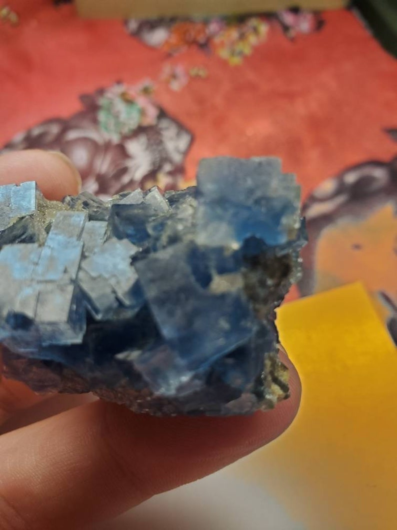 May include: A close-up of a blue fluorite mineral specimen. The fluorite crystals are a vibrant blue color and have a cubic structure. The mineral is held in a hand, with a blurred background.