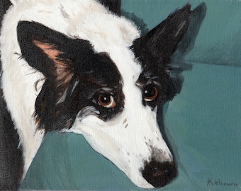 Border collie - Greeting card