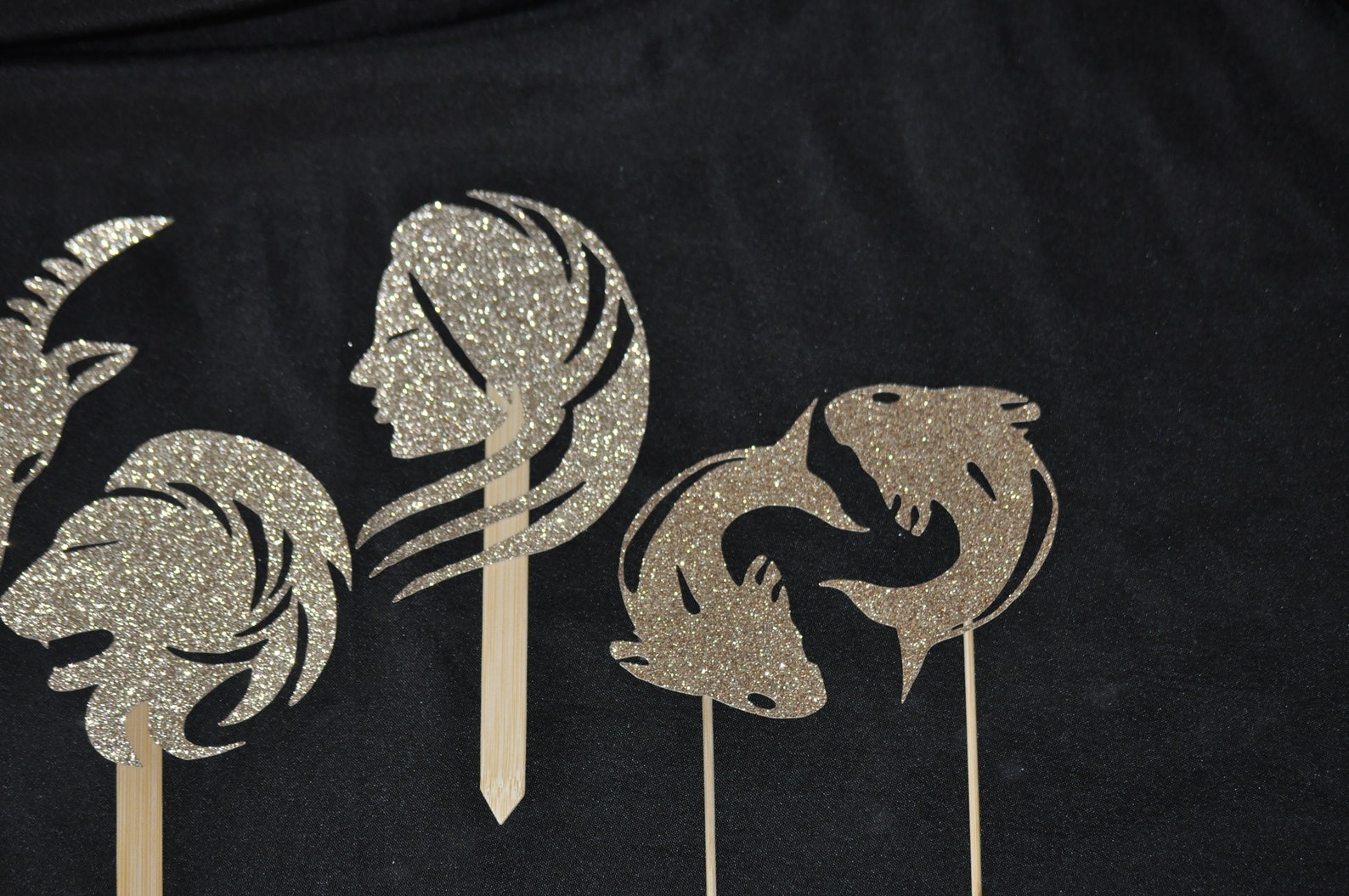 Zodiac Poms Birthday Centerpieces Astrological Decorations Etsy