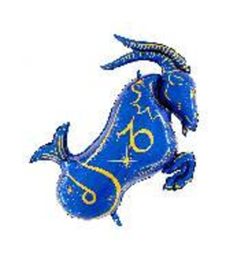 Zodiac Balloons Zodiac Party Decor Party Balloons Etsy