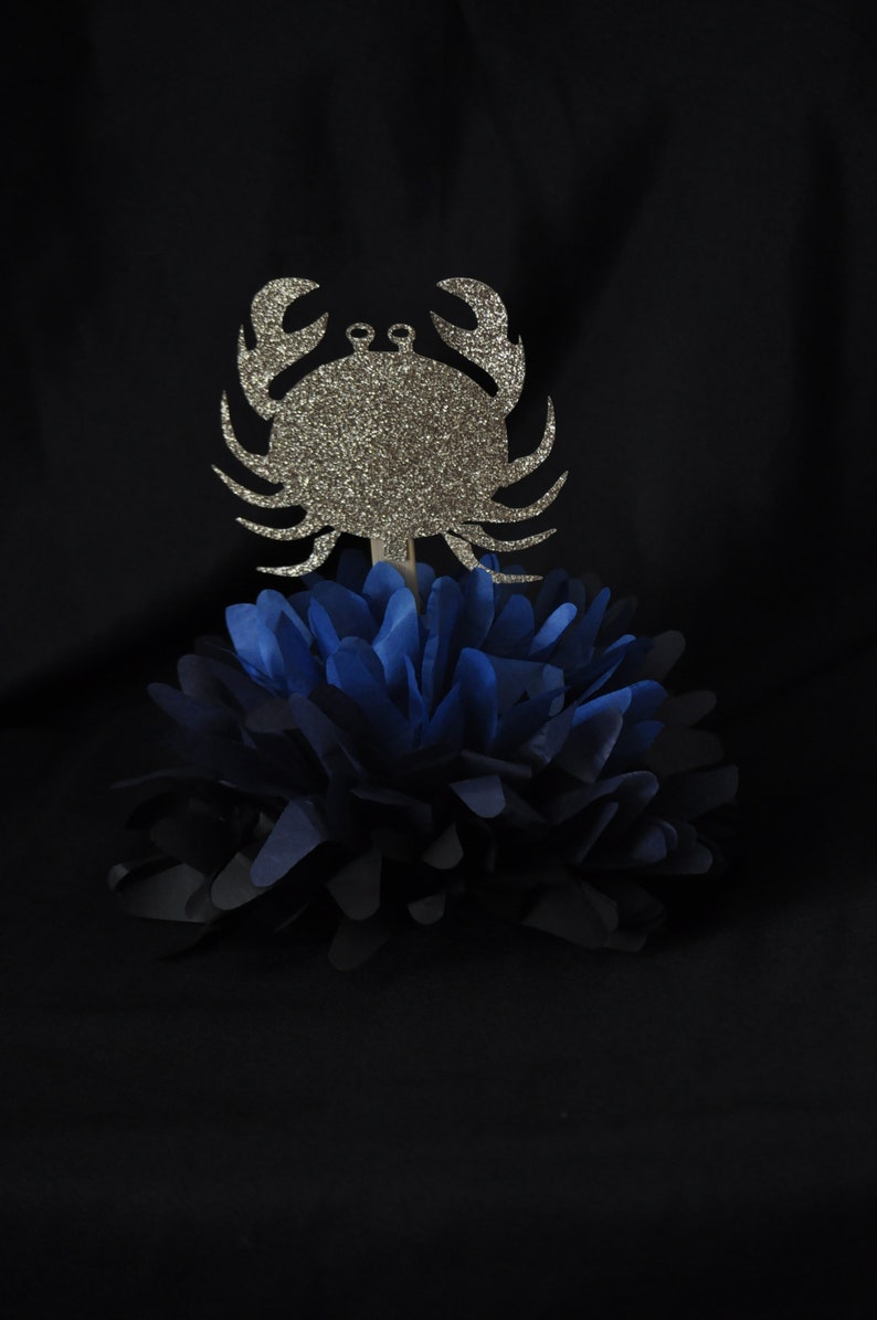 Zodiac Poms Birthday Centerpieces Astrological Decorations Etsy