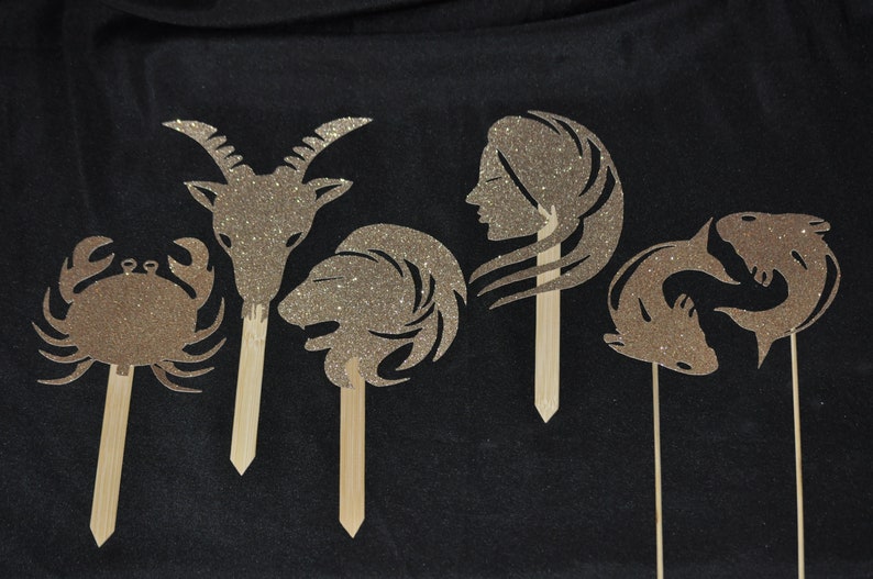 Zodiac Poms Birthday Centerpieces Astrological Decorations Etsy