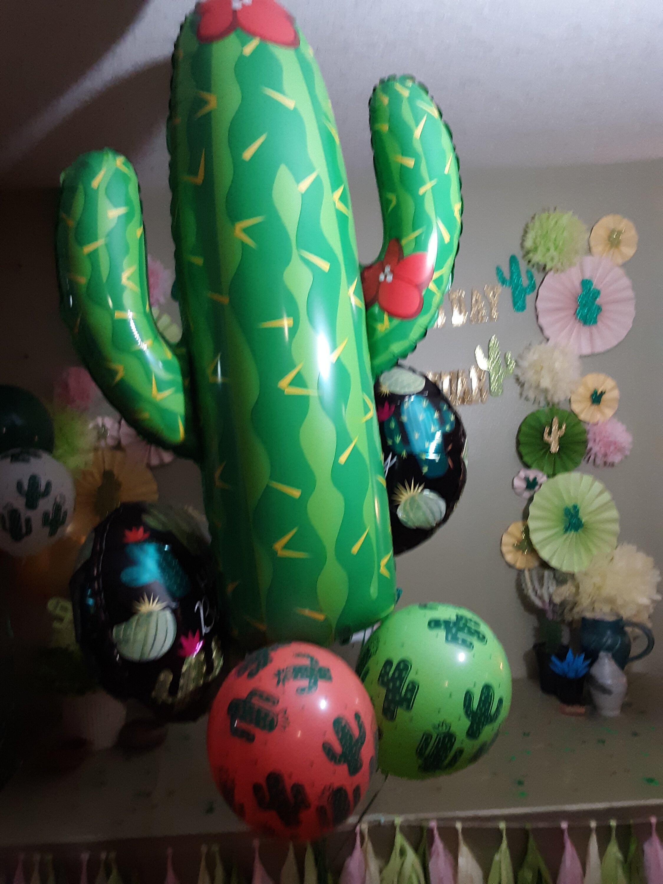 Margarita Party Decorations Margarita Party Margarita Theme Party Margarita