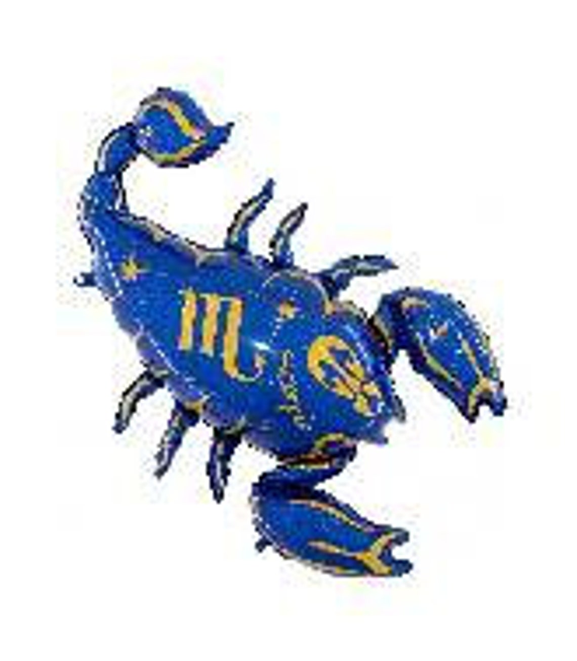 Zodiac Balloons Zodiac Party Decor Party Balloons Etsy