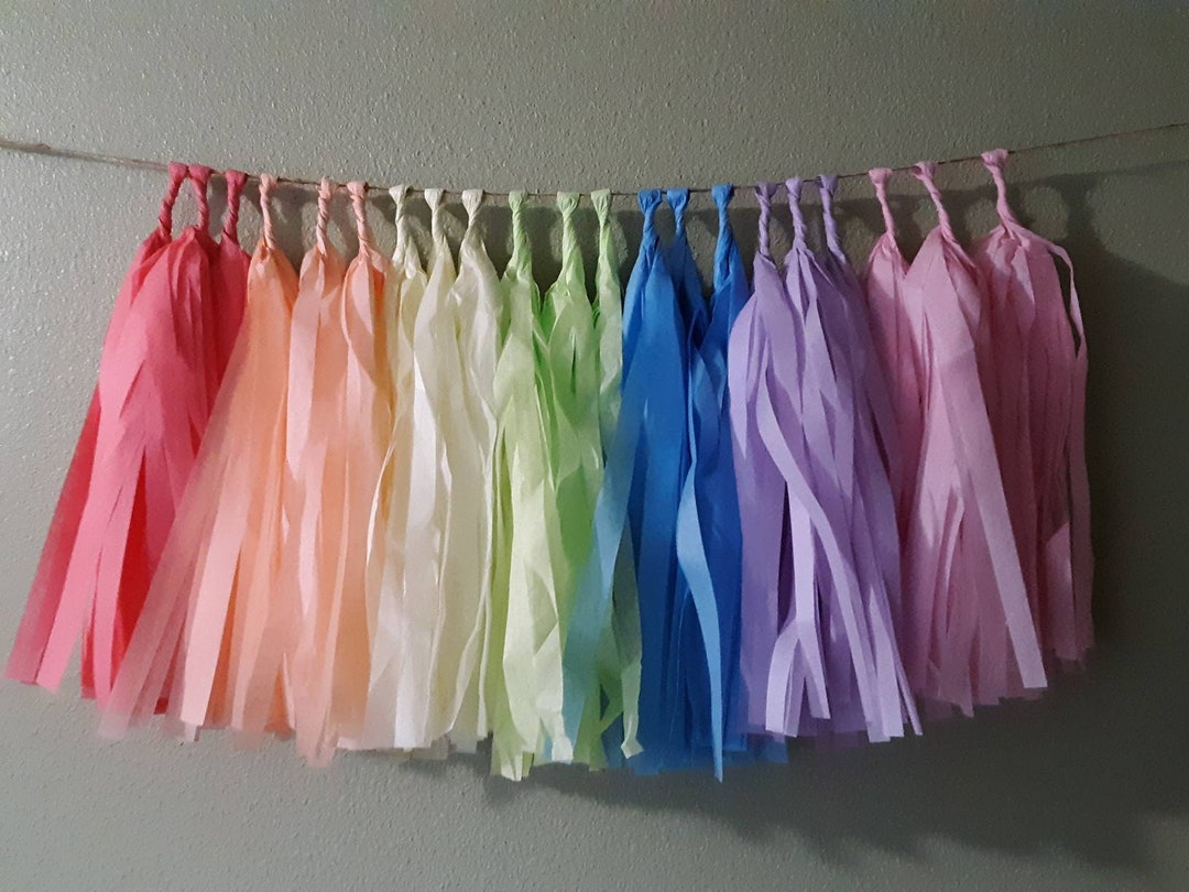 Rainbow Tassel Garland Rainbow Tissue Tassels Pride Party - Etsy