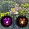 Personalised Pet Dog Photo Memorial LED Garden Colour Changing Solar Light Stake