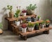 ALL SIZES Wooden bench for plants, flowers, wood benches indoor, rustic wooden benches outdoor, wooden benches for kids storage, garden rack 