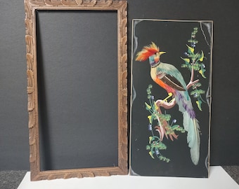 Feather Art with Hand Painted Background with Frame - Vintage - (NBPE#1377)