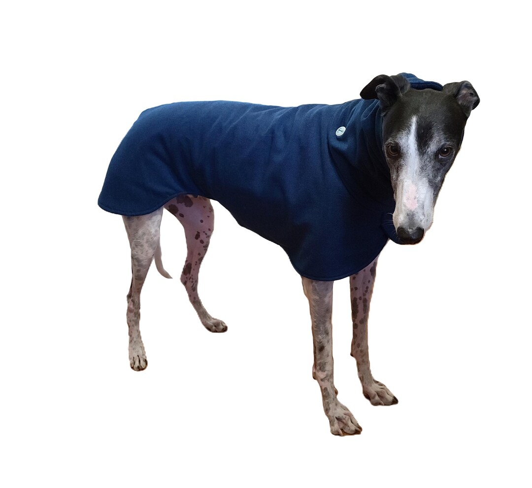 All Blue Wool Like Fabric Greyhound Coat With Snood (size Large) - Etsy