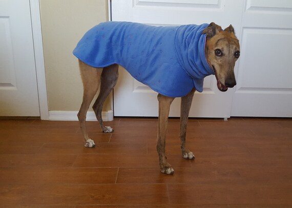 greyhound snood coat