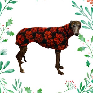 GREYHOUND coat (Medium) All Fleece Poinsettias design