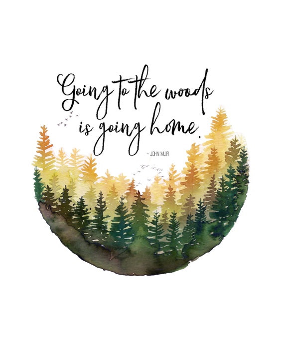 John muir quote forest watercolor print outdoors print | Etsy