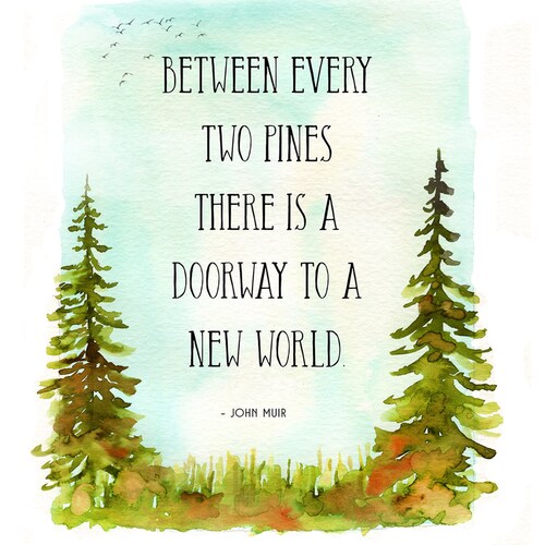 Between Every Two Pines There is a Doorway to a New World - Etsy