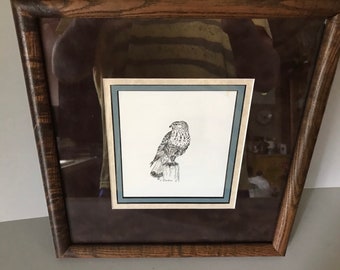 Original Carol Decker Pen and Ink of a Rough Legged Hawk