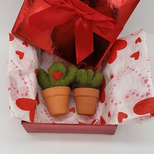 May include: Two small felt cactus plants in terracotta pots, nestled in red and white heart patterned tissue paper inside a red gift box with a red satin ribbon.