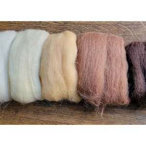May include: Five skeins of wool yarn in different shades of brown, beige, and white. The yarn is arranged in a row from left to right, with the lightest shade on the left and the darkest shade on the right.