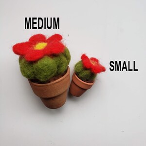 May include: Two felt cactus plants in terracotta pots. The larger cactus is labeled "MEDIUM" and the smaller cactus is labeled "SMALL".