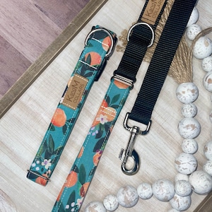 May include: A teal blue and orange floral dog collar and matching leash with a silver clasp. The collar and leash have the text "K and M Collars" printed on a brown tag.