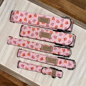 May include: Five pink dog collars with a pumpkin and white flower pattern. The collars are all different sizes and have a brown leather tag that says "KandM Collars".