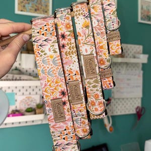 Flowers in the Wild Dog Collar, Martingale or Flat Collar, Fabric Collar, KandMCollars, Fall, Unisex Collar, Floral, Colorful, Pink, Summer