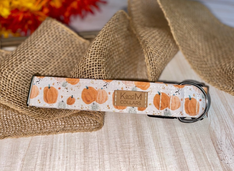 Watercolor Pumpkins Dog Collar, Martingale or Flat Collar, Thanksgiving Dog Collar, Fabric Dog Collar, KandMcollars, Fall Pet Accessories image 3