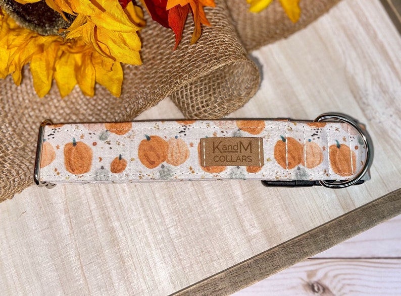 Watercolor Pumpkins Dog Collar, Martingale or Flat Collar, Thanksgiving Dog Collar, Fabric Dog Collar, KandMcollars, Fall Pet Accessories image 5