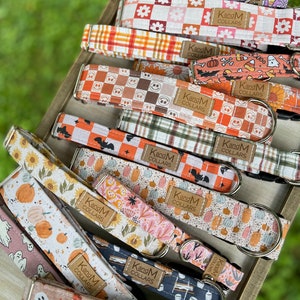 May include: A stack of colorful dog collars with various fall-themed patterns, including pumpkins, ghosts, and plaid. Each collar has a brown leather tag with the text "KandM Collars".