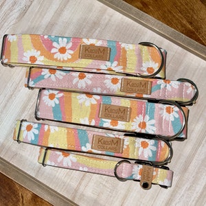 Collare per cani Groovy Daisies, collare Martingala o piatto, collare per cani, collare in tessuto, collari K e M, collare unisex, allegro, fluido, fiori