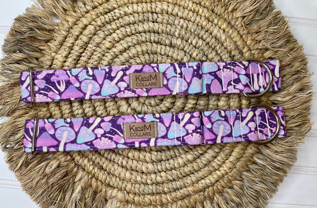 Funky Mushroom Dog Collar, Martingale Dog Collar, Hippy Mushrooms