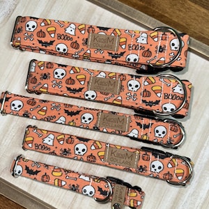 May include: Four orange and white dog collars with a Halloween theme. The collars feature skulls, bats, candy corn, pumpkins, and ghosts. The collars are made by KandM Collars.