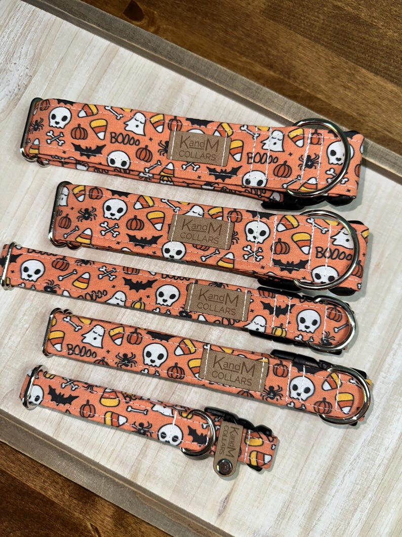 May include: Four orange and white dog collars with a Halloween theme. The collars feature skulls, bats, candy corn, pumpkins, and ghosts. The collars are made by KandM Collars.