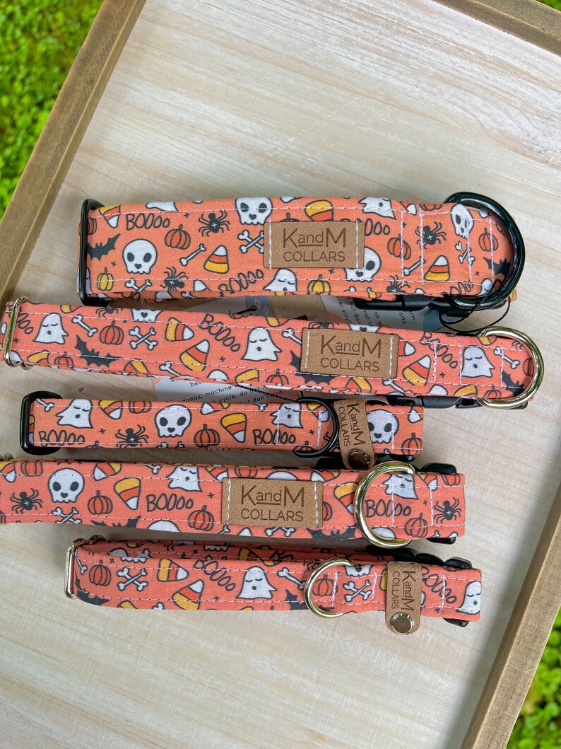 May include: Four orange and black dog collars with a Halloween theme. The collars feature ghosts, skulls, pumpkins, candy corn, and bats. The collars are made by KandM Collars.
