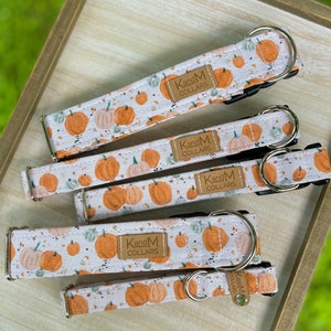 Watercolor Pumpkins Dog Collar, Martingale or Flat Collar, Thanksgiving Dog Collar, Fabric Dog Collar, KandMcollars, Fall Pet Accessories image 2