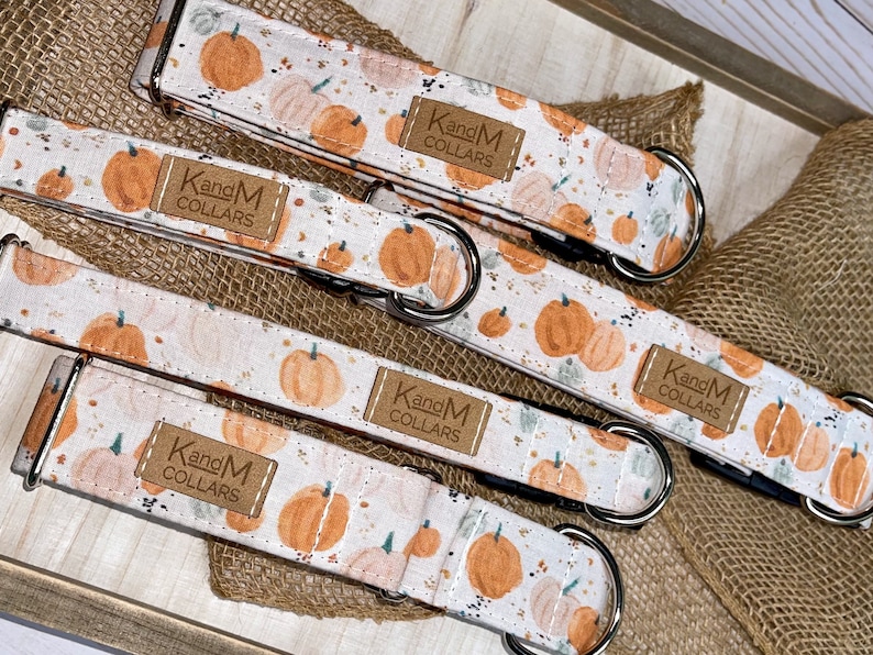 Watercolor Pumpkins Dog Collar, Martingale or Flat Collar, Thanksgiving Dog Collar, Fabric Dog Collar, KandMcollars, Fall Pet Accessories image 4