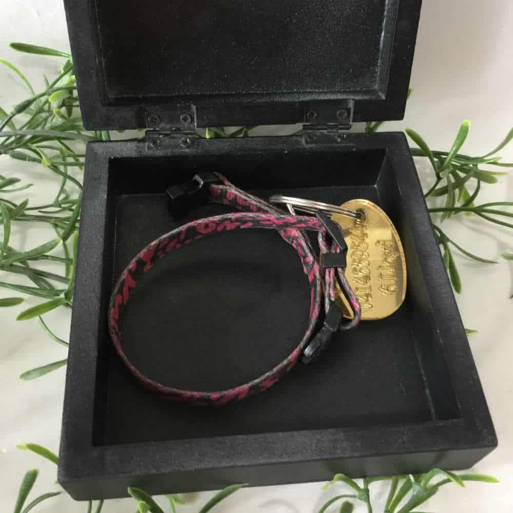 Pet Memorial Collar Box caja de recuerdo para mascotas caja | Etsy