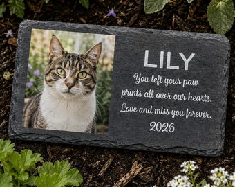May include: A rectangular black slate memorial plaque featuring a color photograph of a tabby cat on the left side. The right side is engraved with the name LILY, the text You left your paw prints all over our hearts. Love and miss you forever., and 2026.
