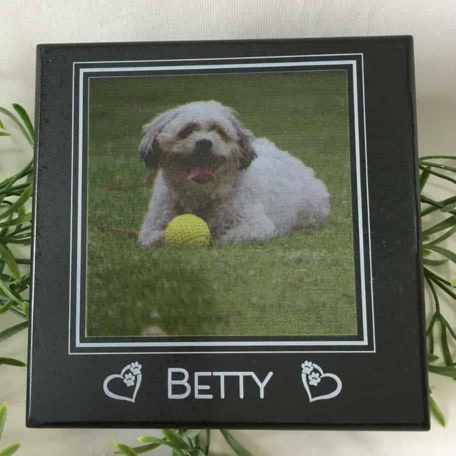 Pet Memorial Collar Box caja de recuerdo para mascotas caja | Etsy