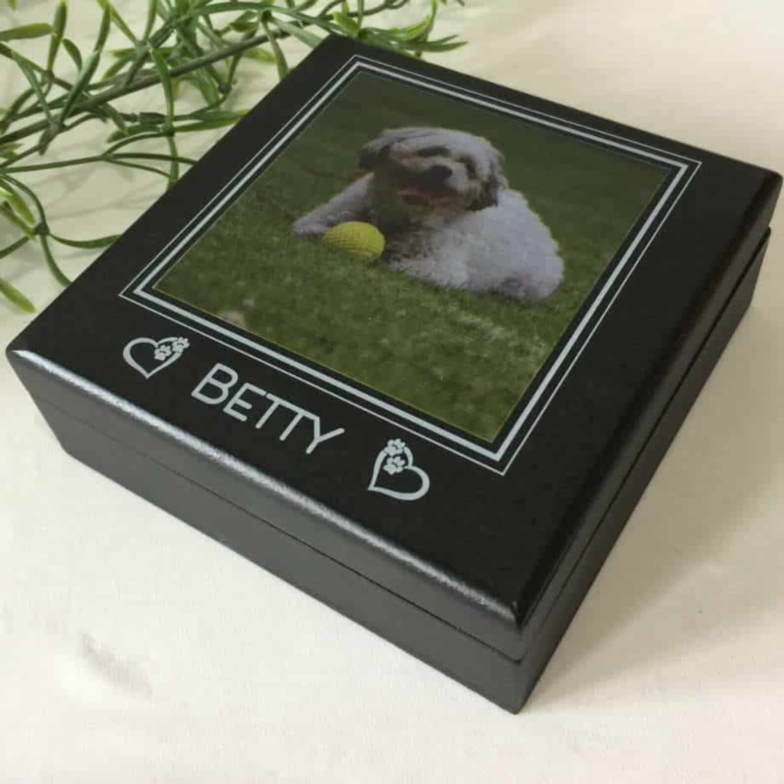 Pet Memorial Collar Box caja de recuerdo para mascotas caja Etsy