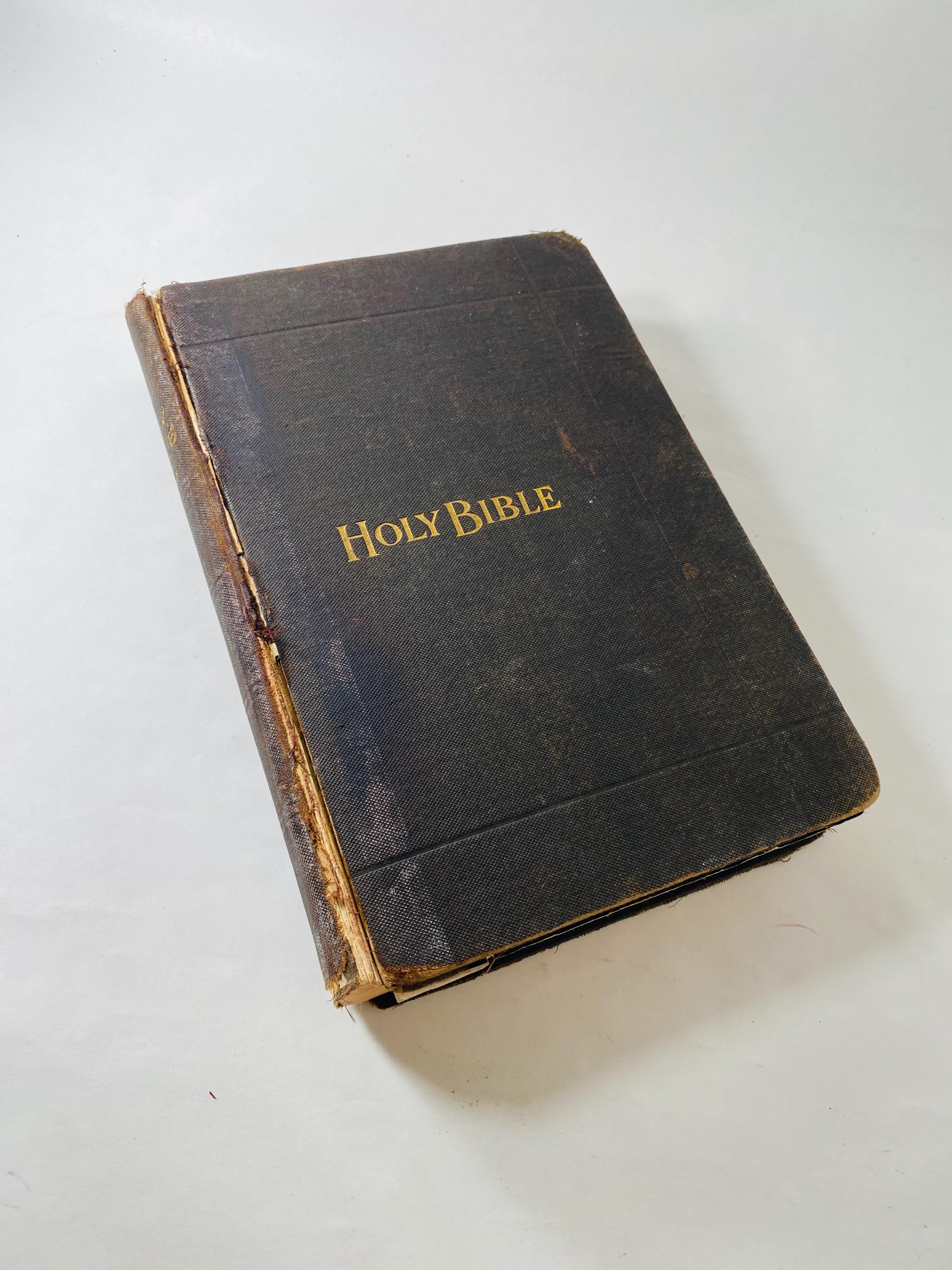 Family Bible Antique Illustrated - Etsy