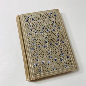 1898 Through the Looking Glass and What Alice Found There by Lewis Carroll John Tenniel illustrated EARLY PRINTING vintage book Wonderland