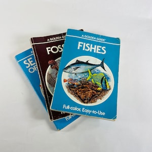 Guía dorada Libro Fósiles Conchas Peces Libros antiguos de bolsillo circa 1985 Whitman Golden